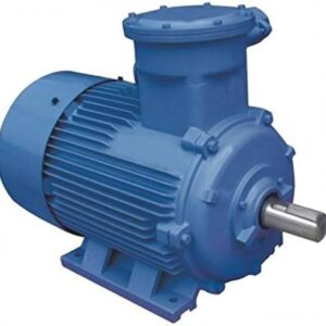 this is a picture of an electric motor from brand Kiloskar